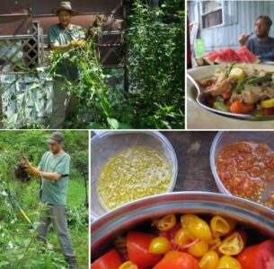 Ragweed Wineberry Stir Fry Image